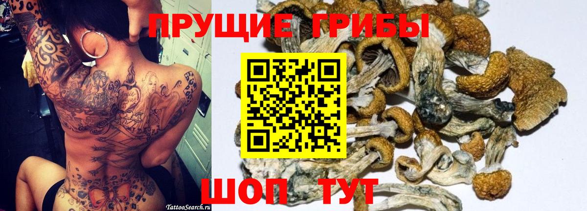 Коломна  Псилоцибиновые грибы Psilocybine cubensis  Вход с VPN 